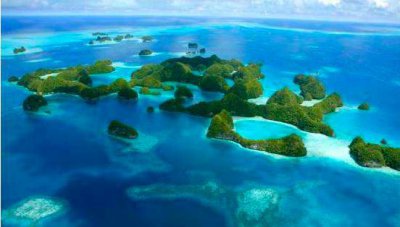 加拉帕戈斯象龟有什么特点 加拉帕戈斯象龟灭绝了吗