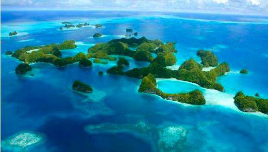 加拉帕戈斯象龟有什么特点