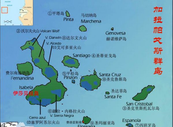 加拉帕戈斯象龟有什么特点