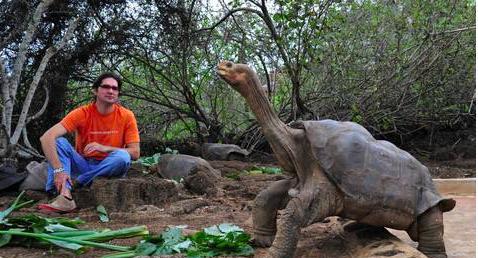 加拉帕戈斯象龟有什么特点