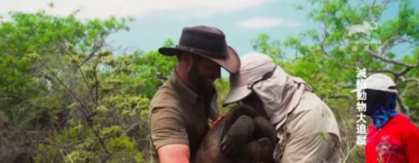 加拉帕戈斯象龟有什么特点