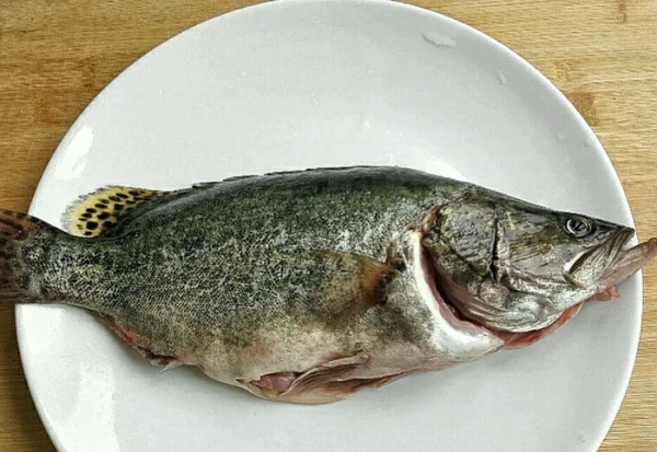 鳜鱼用什么饵钓比较好