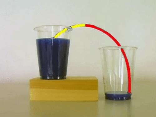 虹吸是什么意思有何应用