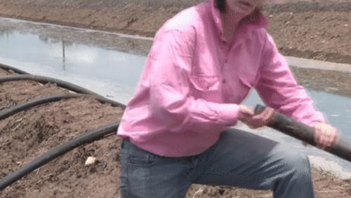 虹吸是什么意思有何应用