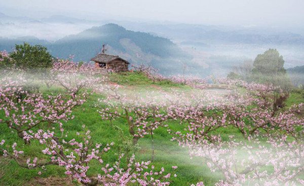 陶渊明是什么诗派的创始人