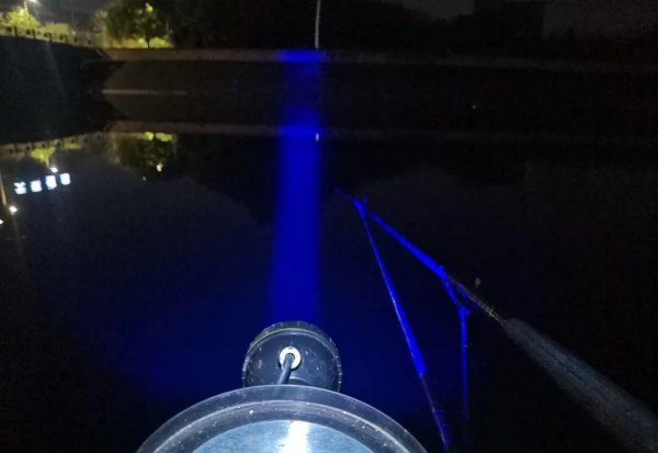 钓鲶鱼用什么饵料最好