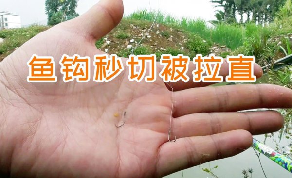 无倒刺鱼钩容易跑鱼吗