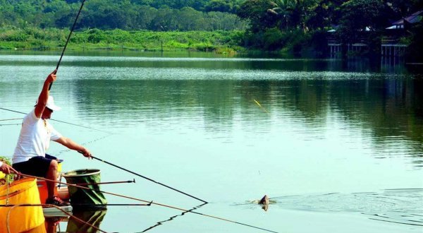 无倒刺鱼钩容易跑鱼吗