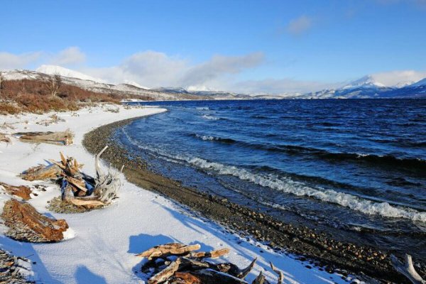 为什么说世上再无阿富汗