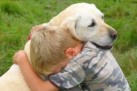 狗狗最有灵性的表现