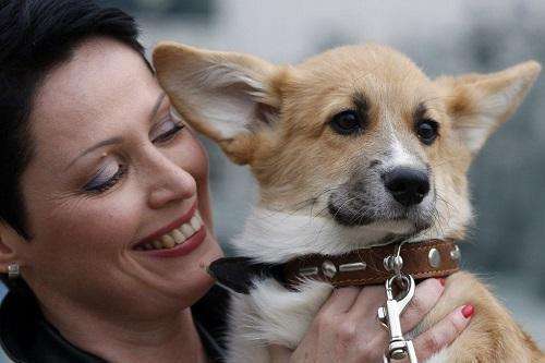 狗狗最有灵性的表现