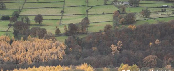 2022年退林还耕政策怎么补偿