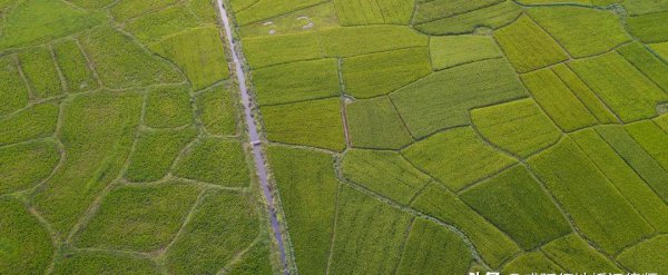 2022年退林还耕政策怎么补偿