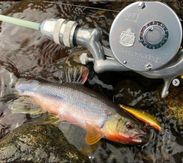 路亚竿硬度排列分类