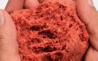 蓝鲫钓鱼的最佳配方 野钓鲫鱼用什么饵料搭配最好