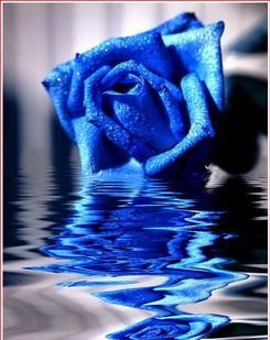 蓝颜知己是什么关系