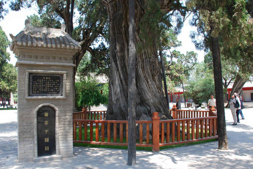 延安黄帝陵里面有遗体吗