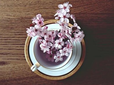 樱花几月份开花