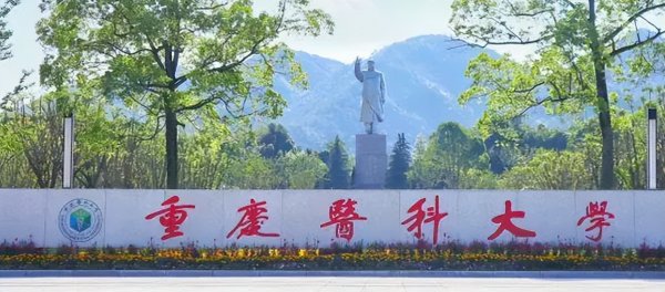 重庆有什么好大学