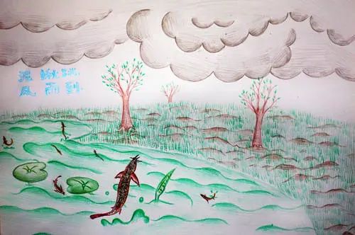 泥鳅属于鱼类吗