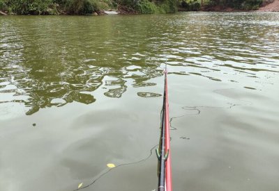 下雨天适合钓鱼吗 一般什么样的下雨天钓鱼量会减少
