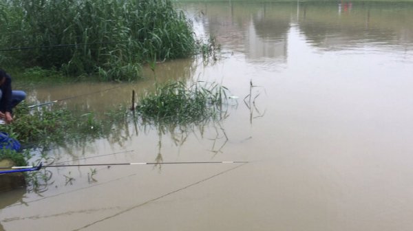 下雨天适合钓鱼吗