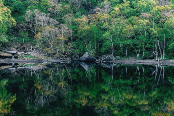 长白山是在哪个省哪个市