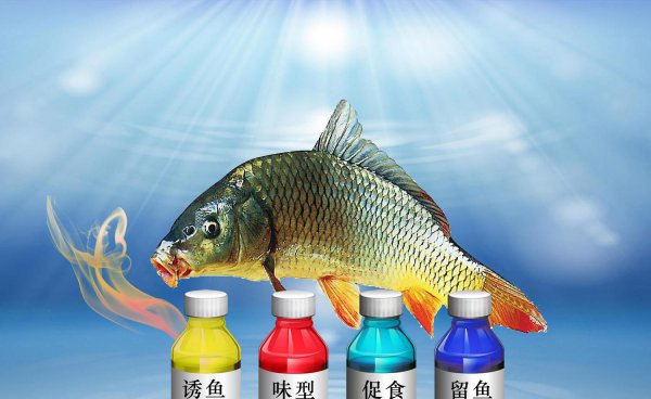 自制鲤鱼药酒最牛配方