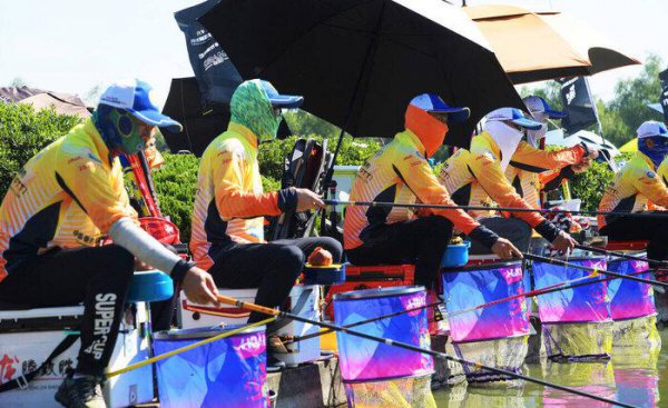 散炮饵料怎么使用最佳