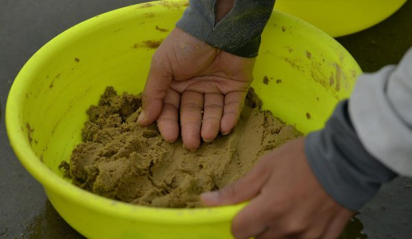 散炮饵料怎么使用最佳