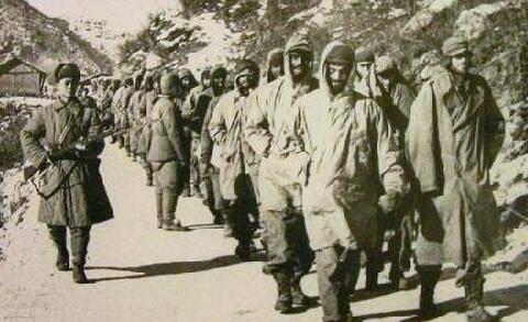 朝鲜战争各国伤亡人数