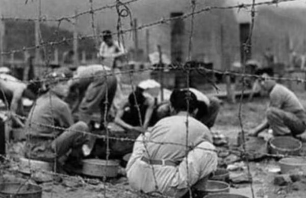 朝鲜战争各国伤亡人数