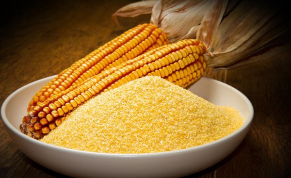 鱼食的配方自己怎么配