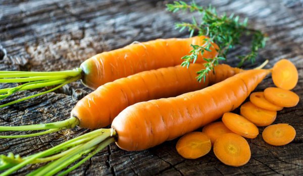 鱼食的配方自己怎么配