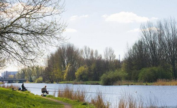 鱼怎么繁殖下一代