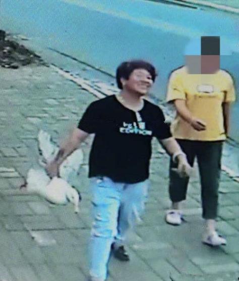 小鸭子认主人吗是什么品种