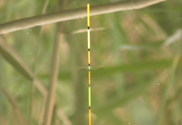 带钩调漂最简单的正确方法