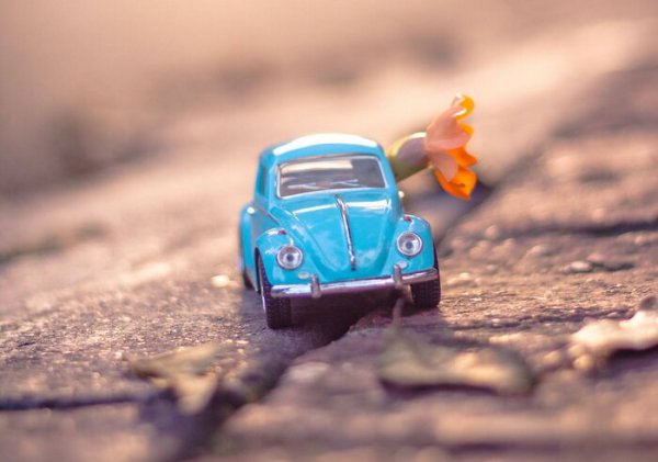 男生叫你笨蛋代表什么