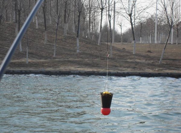 打窝是什么意思