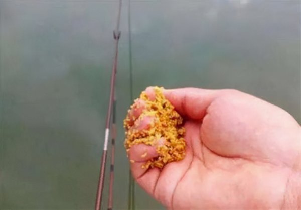 打窝是什么意思