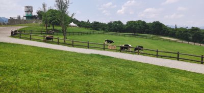 如何避开30天离婚冷静期 协议离婚一定要冷静30天吗