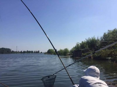 新手钓鱼入门基本功有什么 钓鱼基本功都包含哪些要素