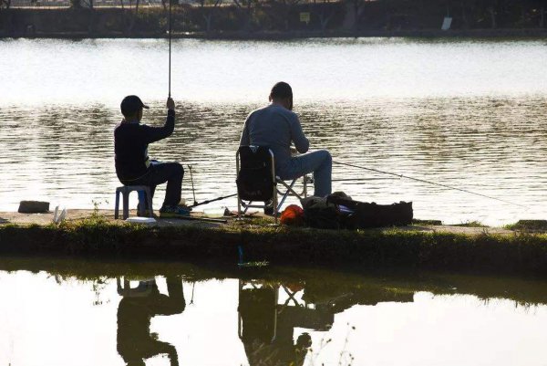 新手钓鱼入门基本功有什么