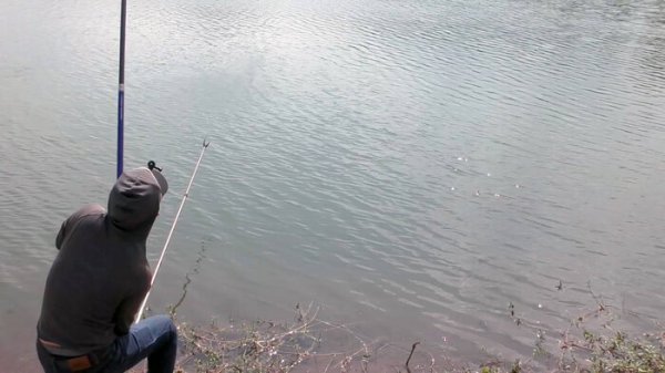 新手钓鱼入门基本功有什么