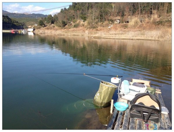 新手钓鱼入门基本功有什么