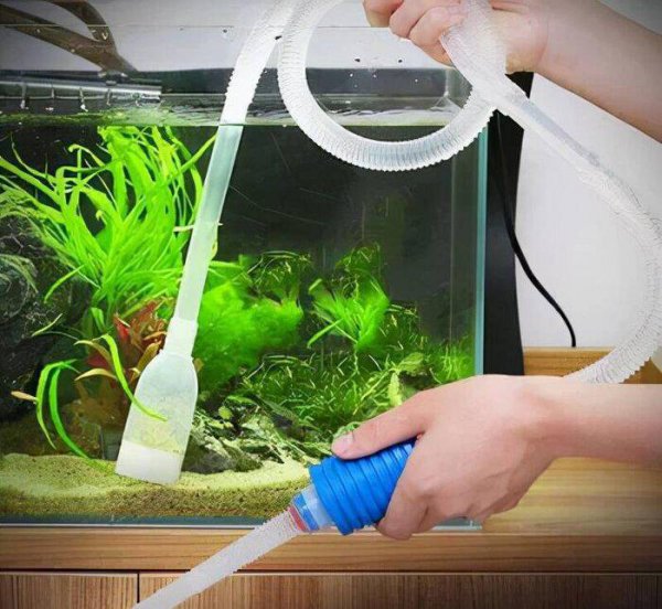 鱼缸养水的正确方法