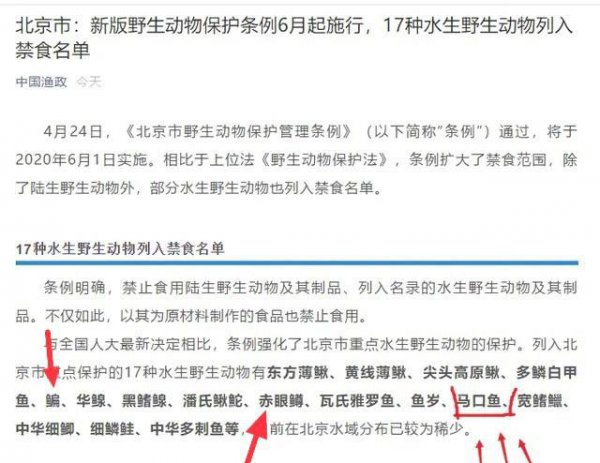 马口鱼为什么不能吃