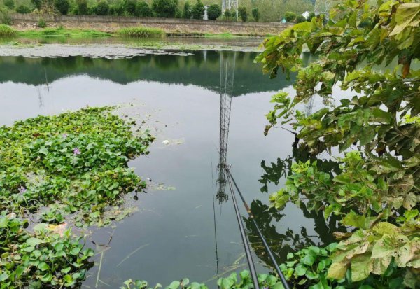 谷麦钓法精髓在于什么方面