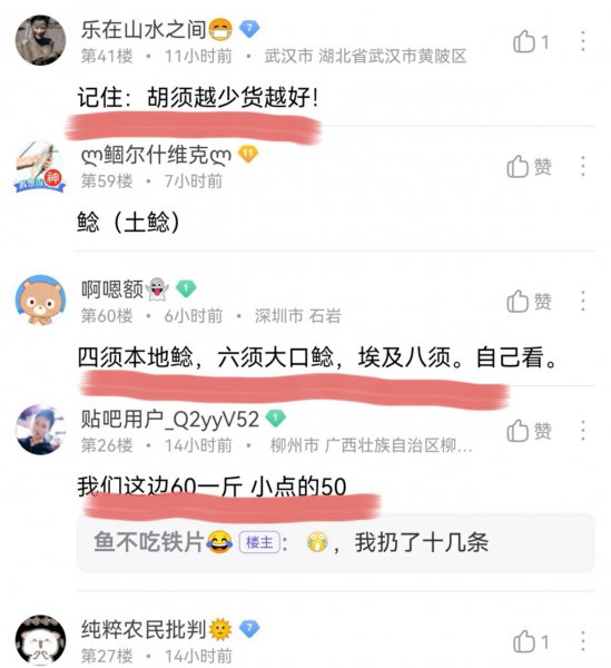 塘鲺和鲶鱼的区别有哪些