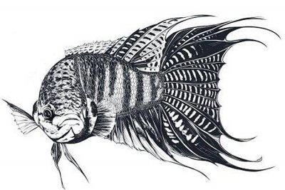 鱼缸滤材哪几种最实用 鱼缸里的滤材用什么样的最好